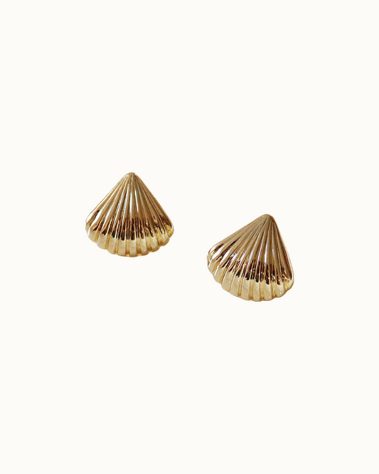 Shell Crest Studs | Earrings | Rhodium & S925 Silver โ Lunari Jewellery